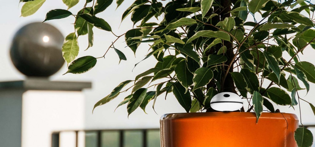 Jardinagem perfeita. Koubachi Wi-Fi Plant Sensor