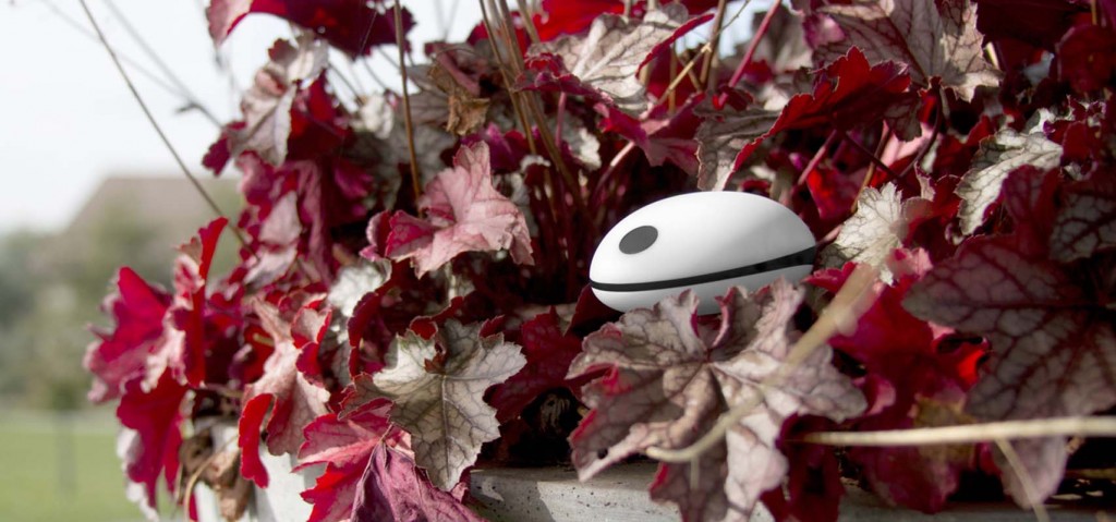 Jardinagem perfeita. Koubachi Wi-Fi Plant Sensor