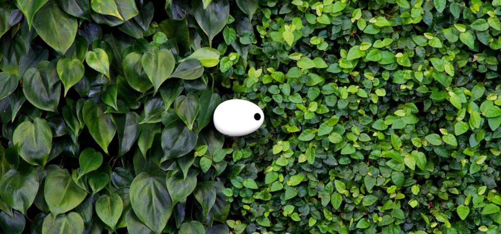 Jardinagem perfeita. Koubachi Wi-Fi Plant Sensor