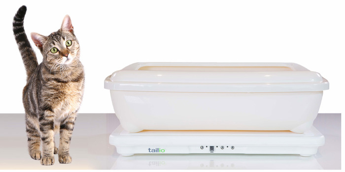 Gatos. Tailio, monitoriza a saúde do animal através da caixa de areia