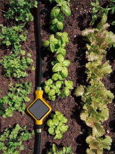 Gadgets para plantas e jardim. Sensor para jardins Edyn