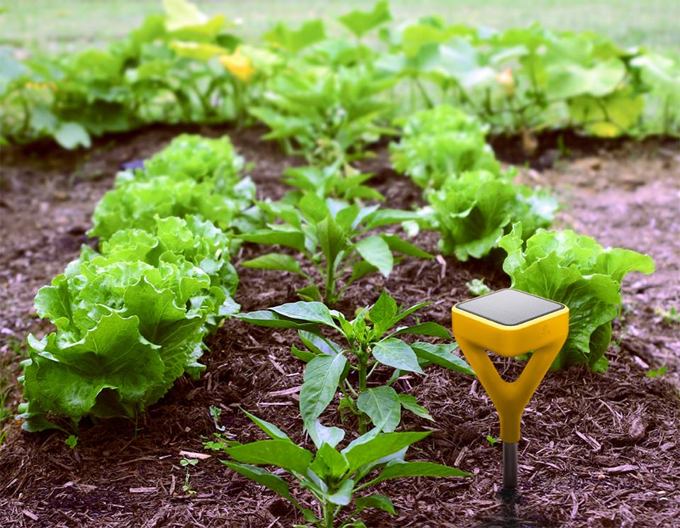 Gadgets para plantas e jardim. Sensor para jardins Edyn Gadgets para plantas e jardim. Sensor para jardins Edyn