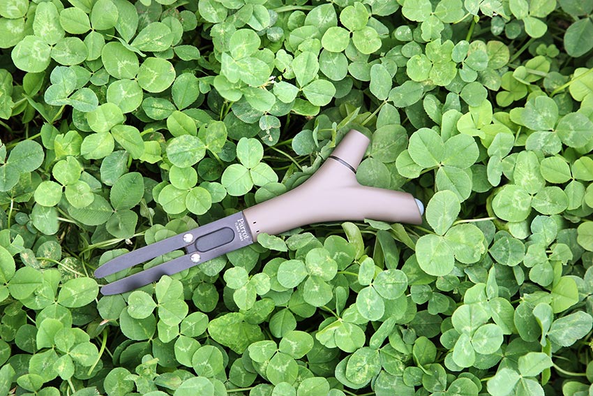 Gadgets para plantas e jardim. Flower Power, da Parrot Gadgets para plantas e jardim. Flower Power, da Parrot