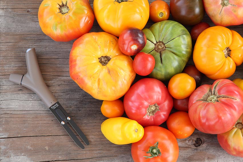 Gadgets para plantas e jardim. Flower Power, da Parrot Gadgets para plantas e jardim. Flower Power, da Parrot