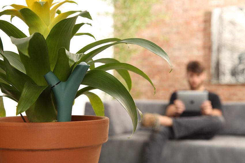 Gadgets para plantas e jardim. Flower Power, da Parrot Gadgets para plantas e jardim. Flower Power, da Parrot