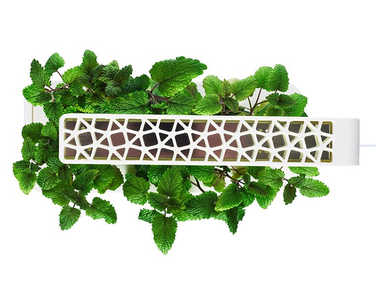 Gadgets para plantas e jardim. Ambiente high-tech para plantas Click & Grow Gadgets para plantas e jardim. Ambiente high-tech para plantas Click & Grow