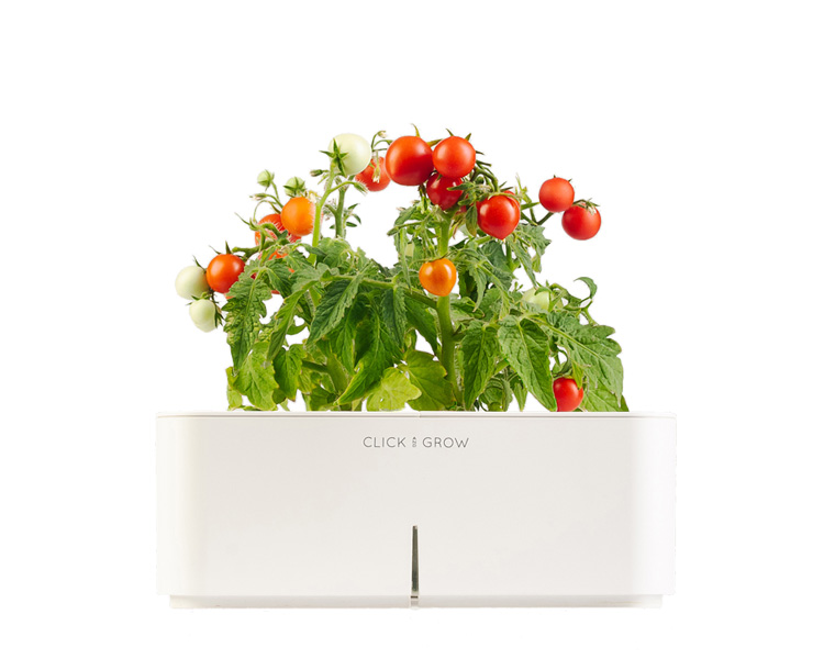 Gadgets para plantas e jardim. Ambiente high-tech para plantas Click & Grow Gadgets para plantas e jardim. Ambiente high-tech para plantas Click & Grow