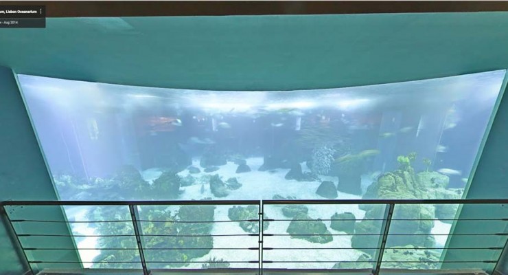 Google e as maravilhas de Portugal. Oceanário de Lisboa