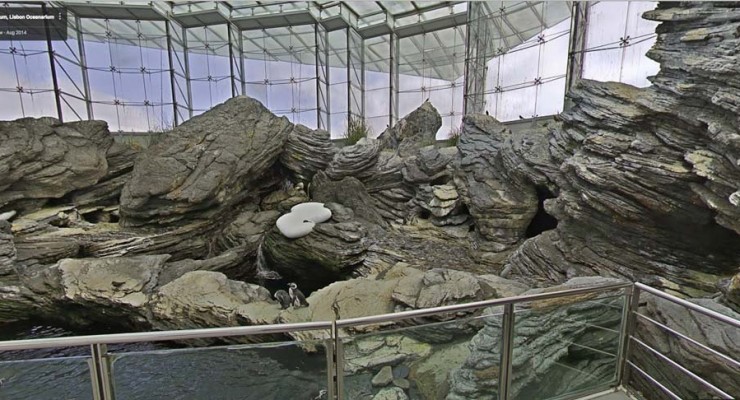 Google e as maravilhas de Portugal. Oceanário de Lisboa