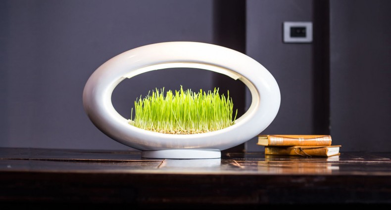 Grasslamp. Plantas, luz e design, para trazer a Natureza para dentro de casa
