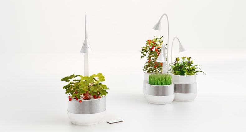 SproutsIO, para cultivar uma horta dentro de casa